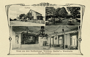 Senftenberg